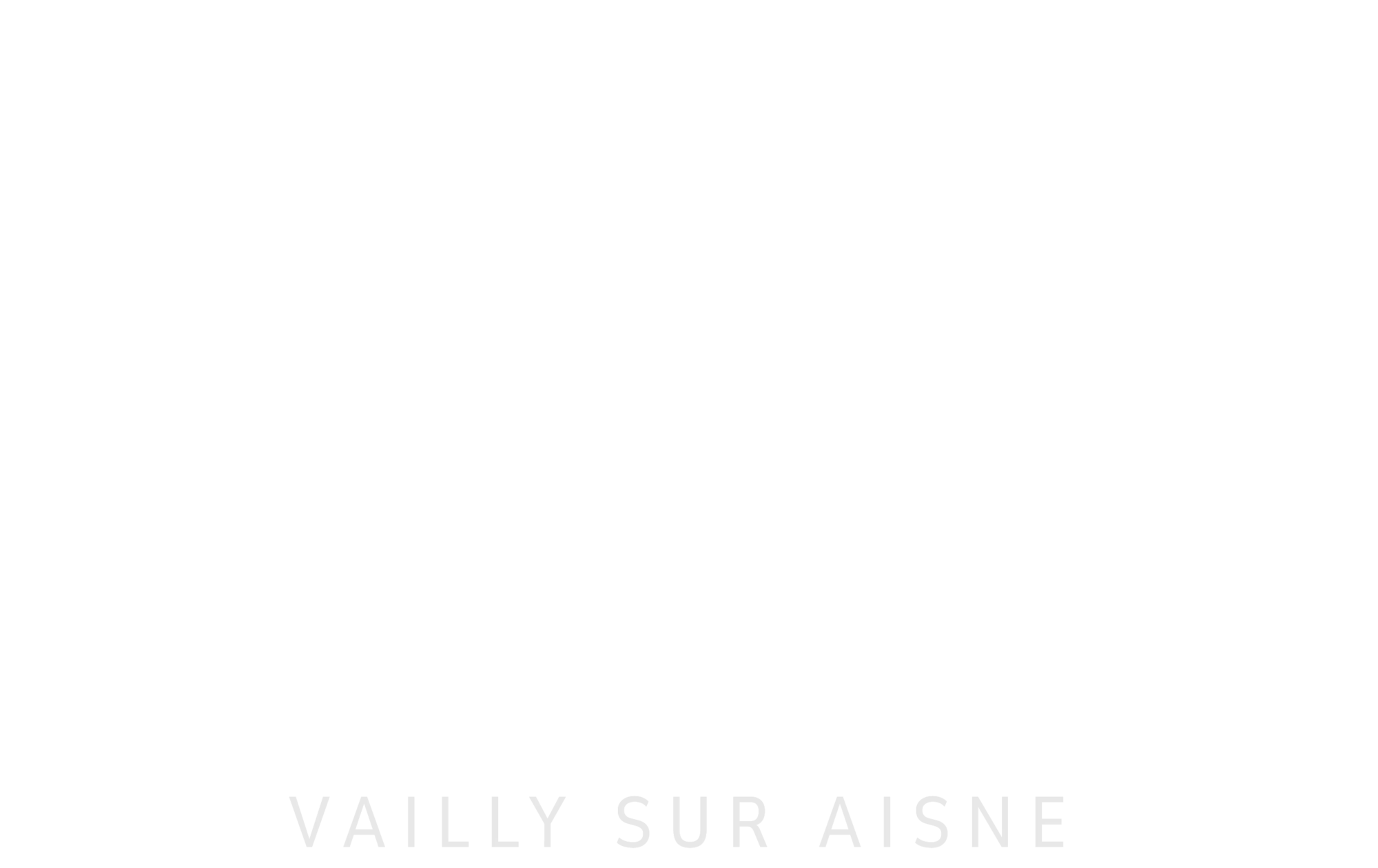 Logo Studio Spa Sauna - Pour Fonds de couleur - PNG - 300dpi